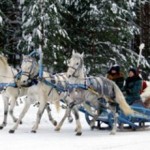ded-moroz_thumb307_