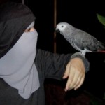 news-u0iW6lU303
