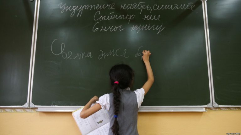 Татарский язык в качестве родного выбрали 68% учеников