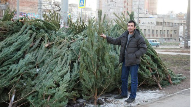 В Самаре и Тольятти заработали первые ёлочные базары ( Адреса)