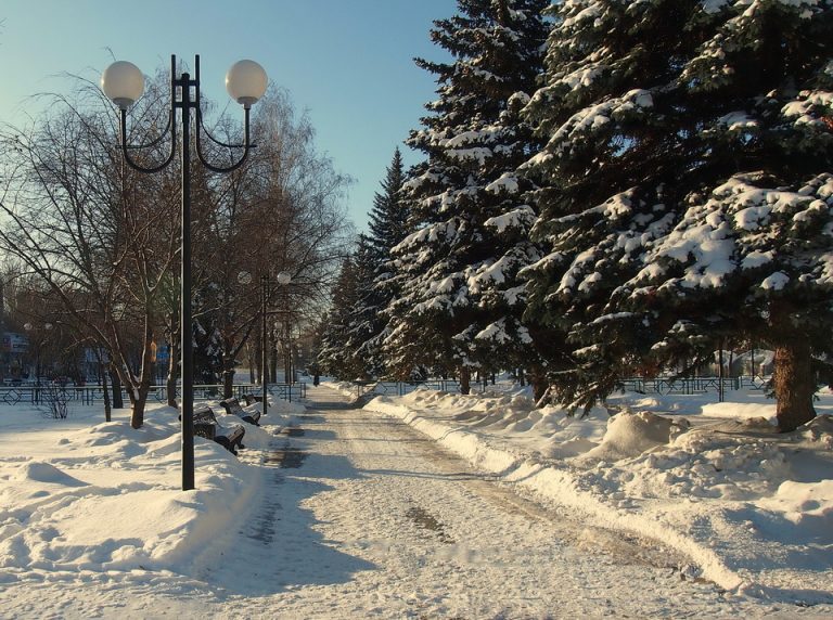 Самарцам предложили самостоятельно нарядить ёлки в городских парках