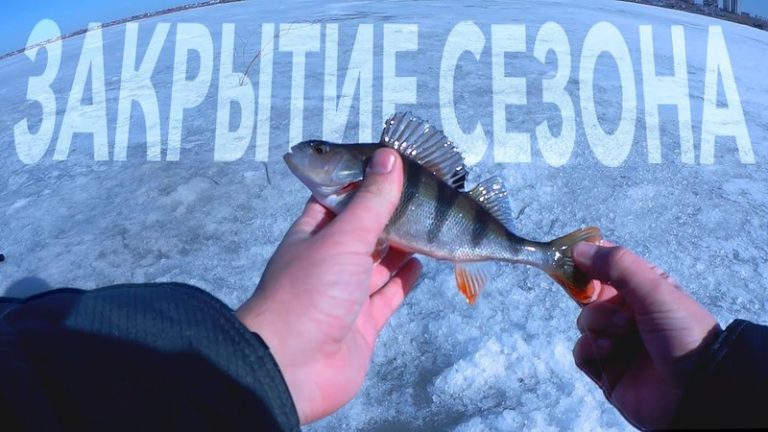 Под Самарой сезон зимней рыбалки закроют большим фестивалем