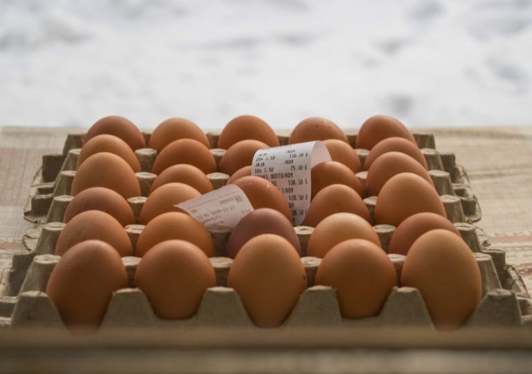 Волонтёры «Единой России» будут доставлять продукты и лекарства на дом во время пандемии коронавируса