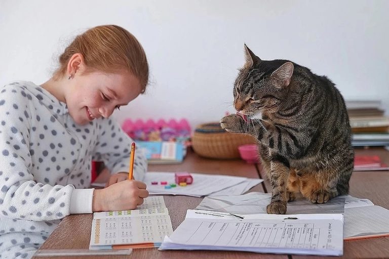 Вирусы, учитель в трусах и буллинг от одноклассников: чем еще угрожает детям дистанционное обучение