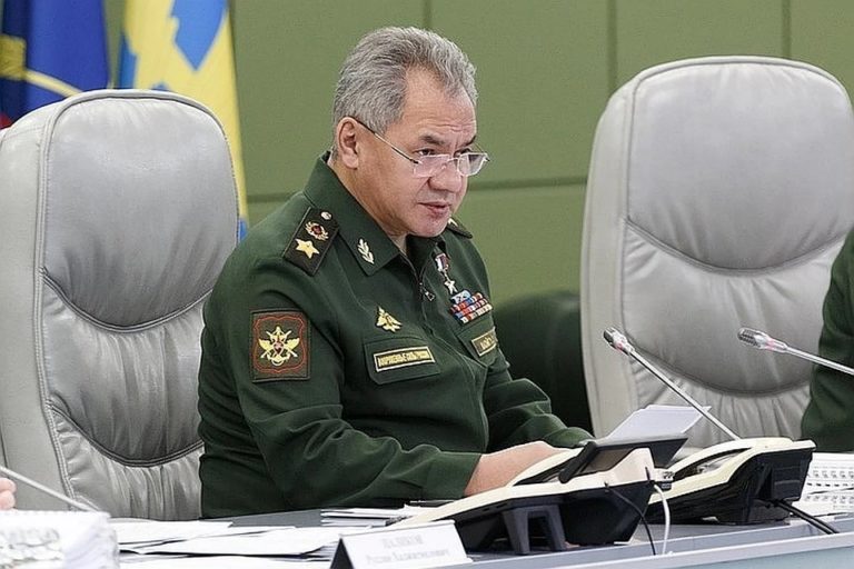 Шойгу вводит стратегический резерв в бой с коронавирусом