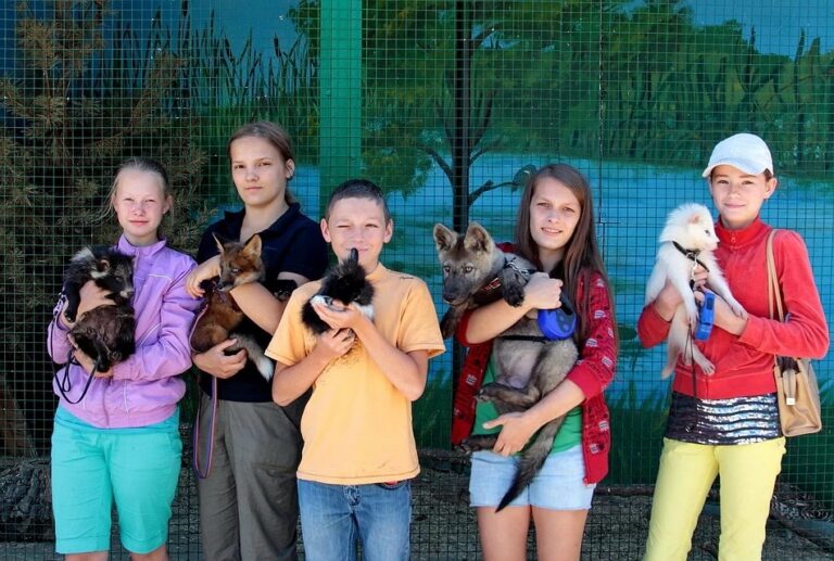 Коронавирус в Самарской области, последние новости на 21 июля: в регионе хотят снять новые ограничения