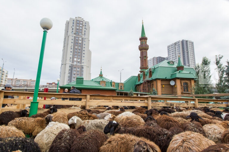 Подведены итоги проведения Курбан-байрама в Татарстане