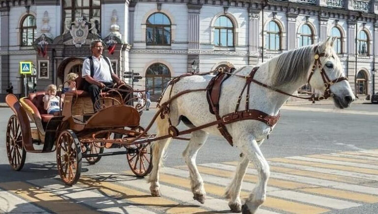 Владелец сбежавшей в Казани лошади с каретой подумывает свернуть бизнес