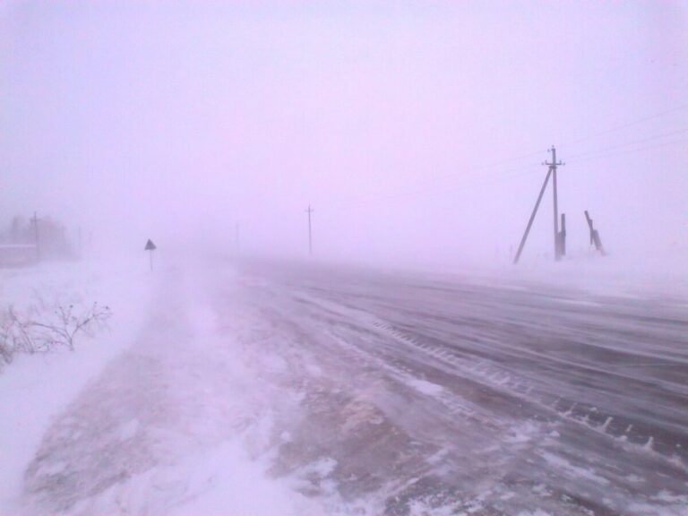 Кар-бураннар арасында адашмам
