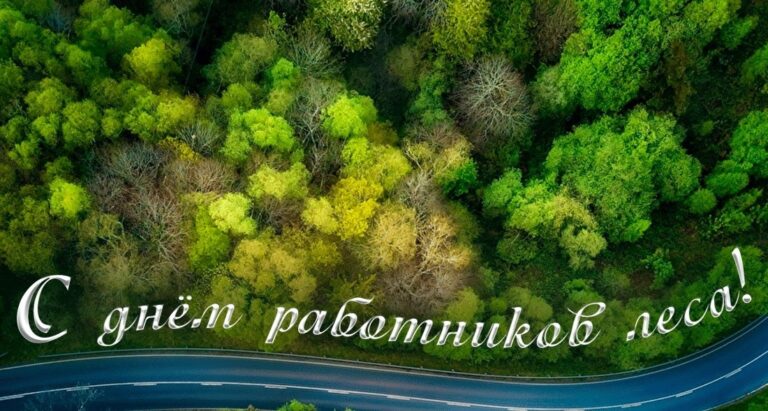 День работников леса и лесоперерабатывающей промышленности