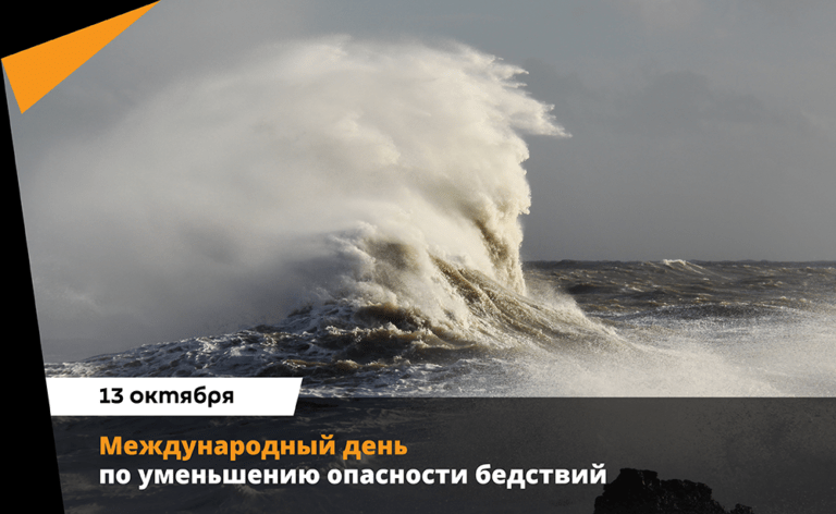 Международный день по уменьшению опасности бедствий