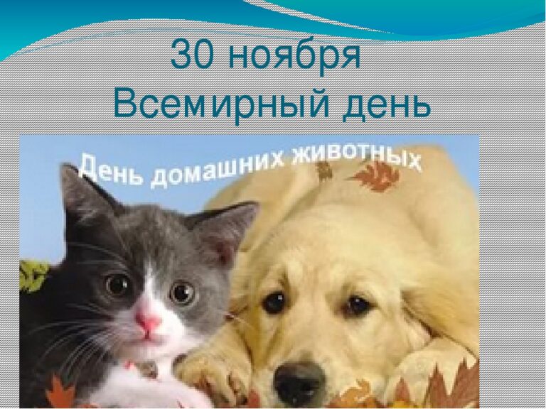 Всемирный день домашних животных