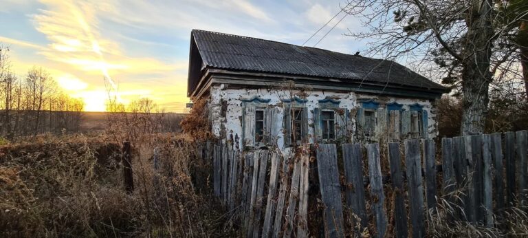 Брошенные в доме. Cамарская область, Похвистневский район, село Старомансуркино.