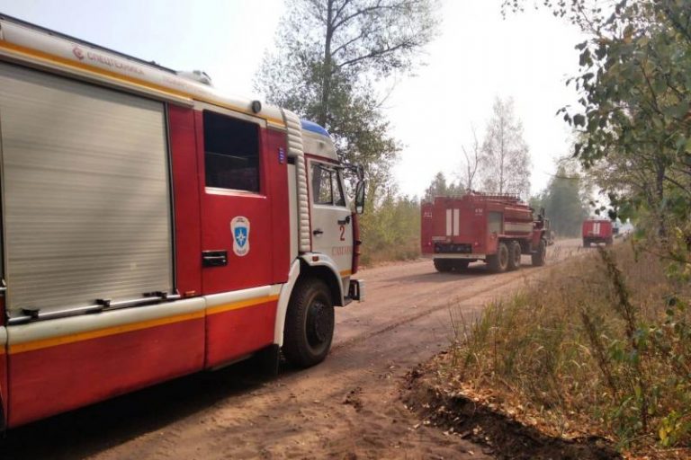 В национальном парке “Бузулукский бор” огонь уничтожил 700 гектаров леса