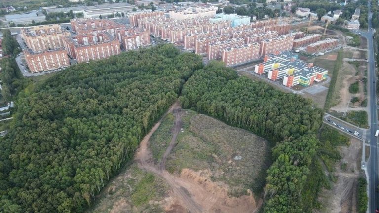 Самарцы попросили президента России спасти от вырубки лес в поселке Мехзавод