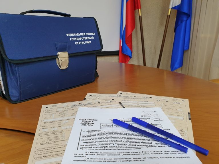 Заполнить переписной лист можно будет на разных языках