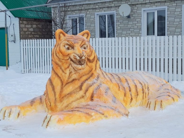 Кайсы авыл яхшырак бизәлгән?