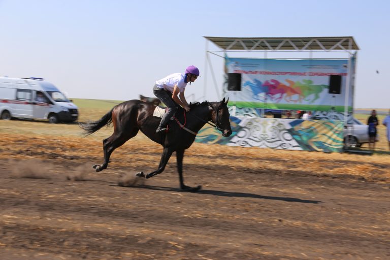Солнце, кони, страсть к победе