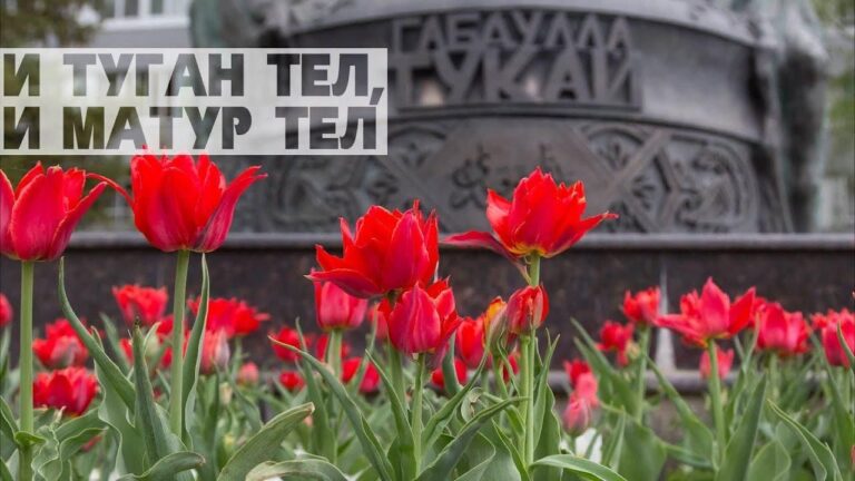 В Самарской области стартуют мероприятия, приуроченные к Международному дню родного языка