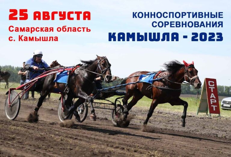 В Камышле состоятся традиционные конноспортивные соревнования