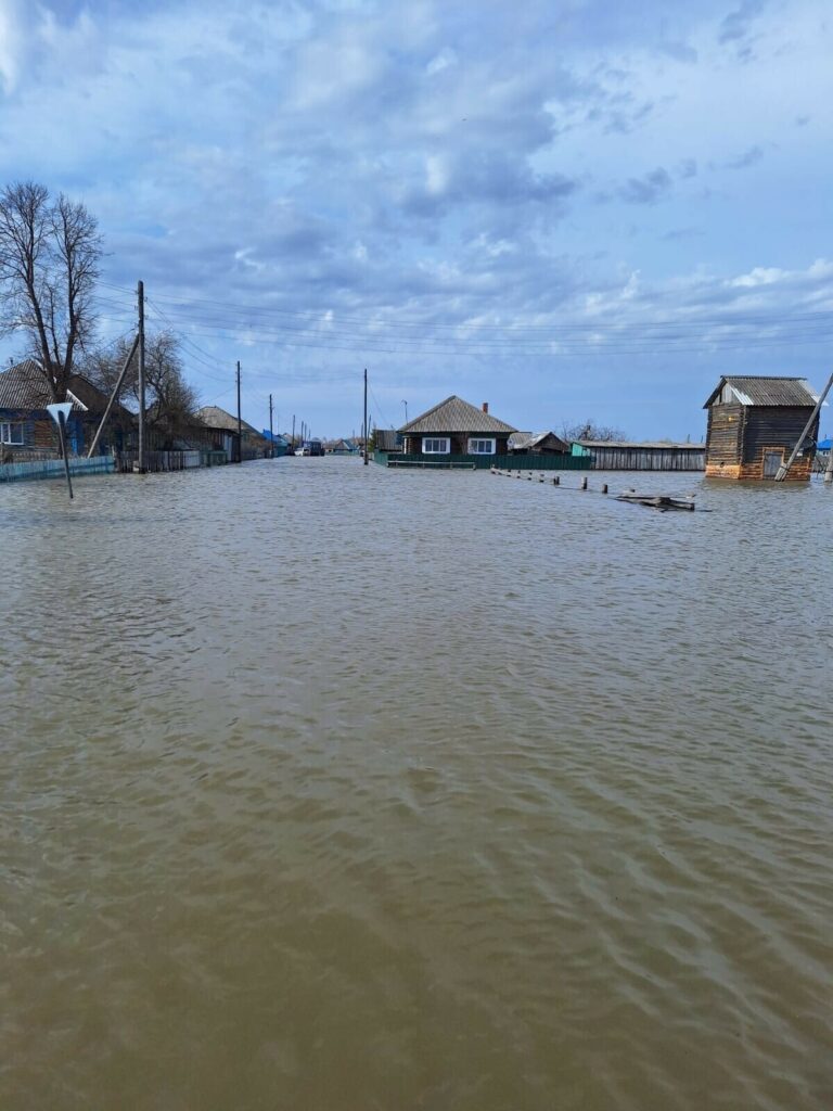 Татарские деревни Омской области под водой: гибнут животные, разорены кладбища