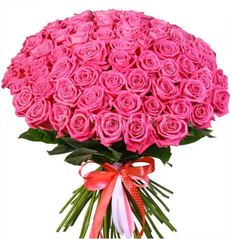 Хуҗина Назия Нигъмәтулла кызын туган көне белән котлыйбыз