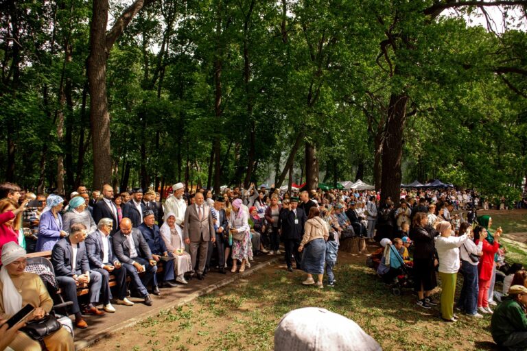 Фотографии с Сабантуя Самара 2024